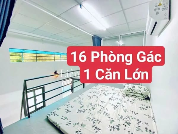 Bán dãy trọ 17 căn tại Mỹ Khánh, Phong Điền, Cần Thơ - 1000m² - 6.5 Tỷ