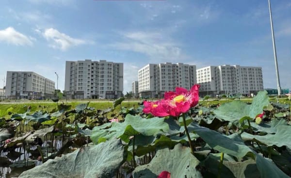 Bán căn hộ chung cư Nam Long Central Lake, 66m², 2PN - 1.66 Tỷ