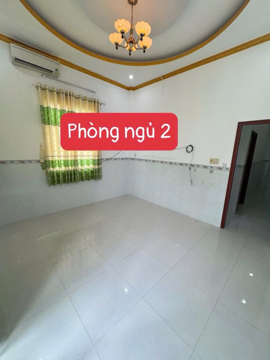 IMG_5200.jpeg
