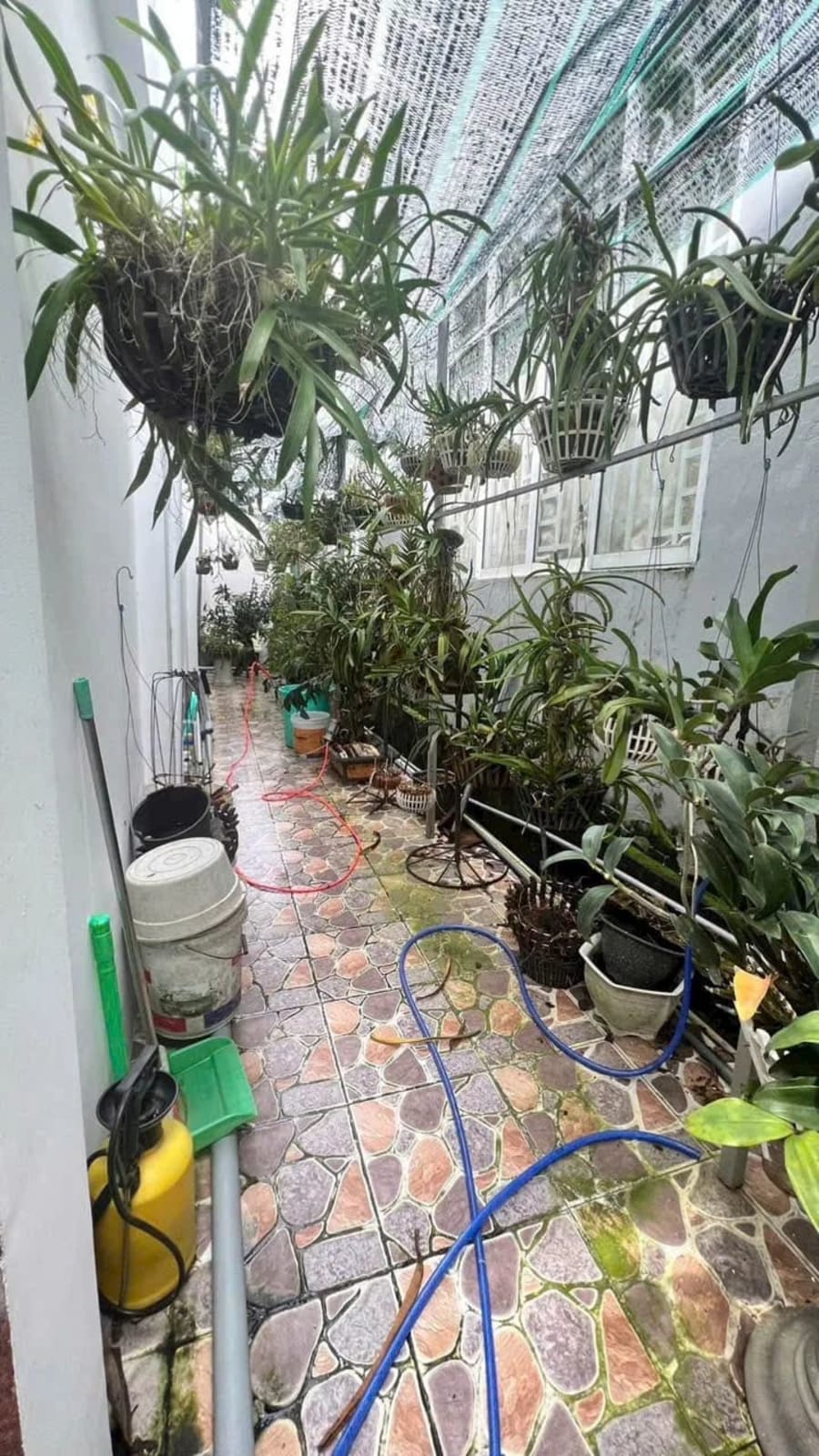 Cho thuê nhà hẻm 8m Cách Mạng Tháng 8, Cần Thơ - 96m² - 5 Triệu/Tháng — ảnh 7