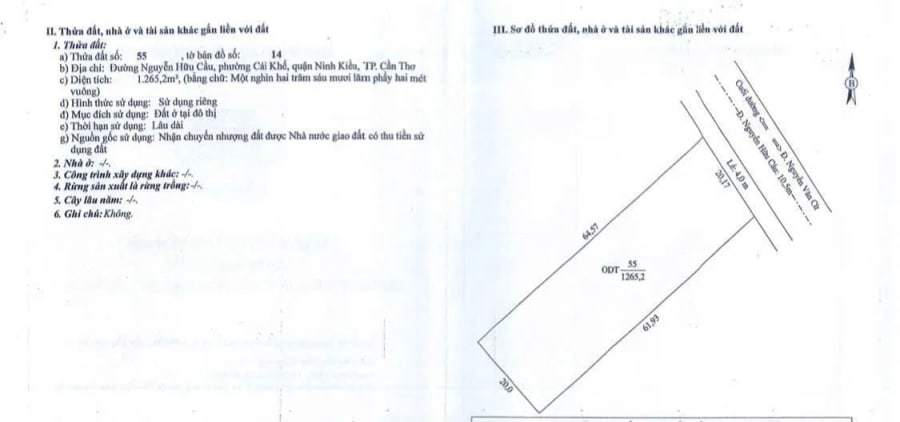 Bán nền góc 2 mặt tiền Nguyễn Hữu Cầu, Cồn Khương, Ninh Kiều - 2569.3m² — ảnh 3