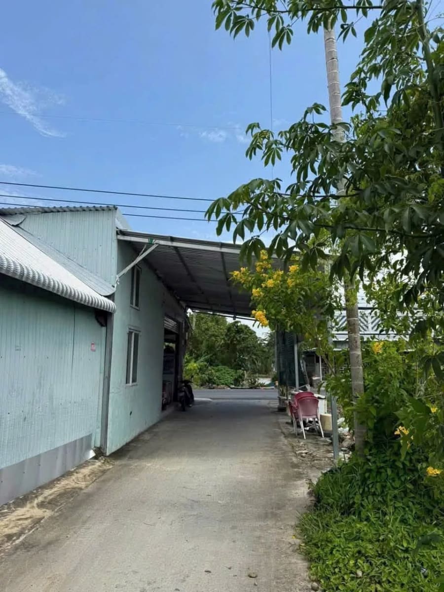 Bán 2 nền đất tại nhánh đường 30/4 - 1550m² - 3.1 Tỷ — ảnh 2