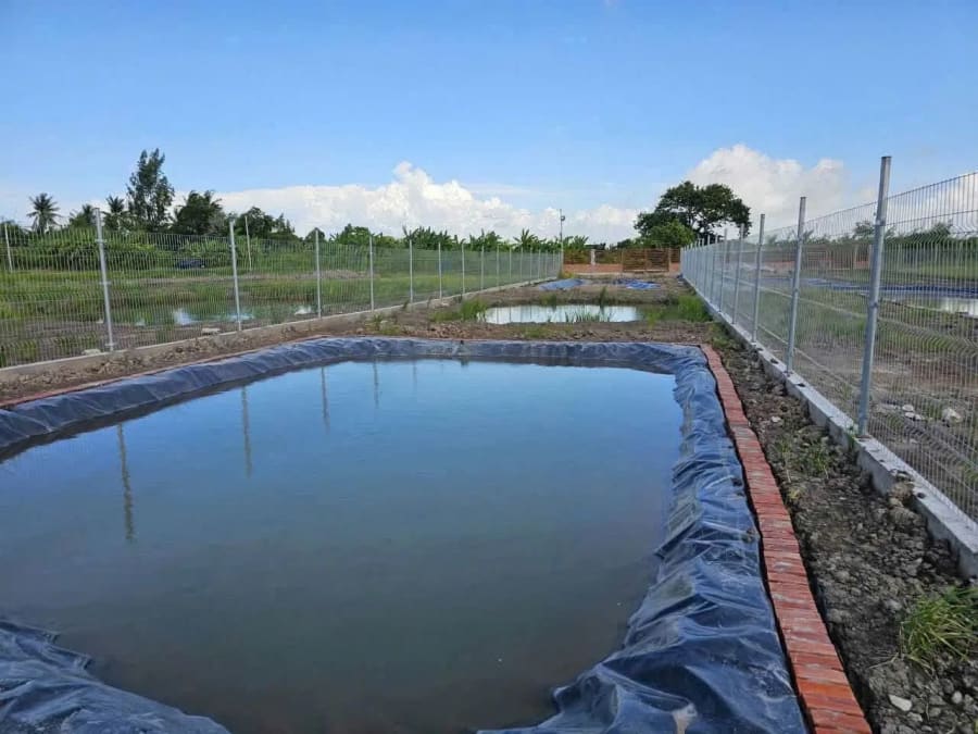 Bán 2 nền đất tại nhánh đường 30/4 - 1550m² - 3.1 Tỷ — ảnh 6