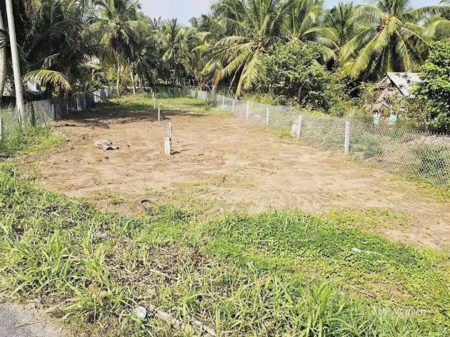 Bán đất nền tại Cái Ngang, Vĩnh Long - 196m² - 519 Triệu — ảnh 2