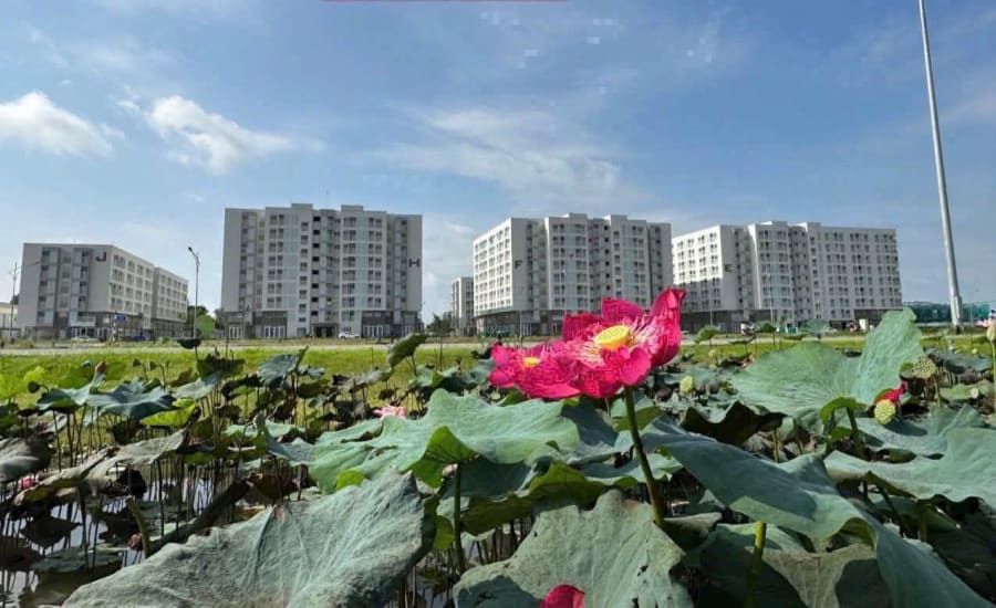 Bán căn hộ chung cư Nam Long Central Lake, 66m², 2PN - 1.66 Tỷ — ảnh 4