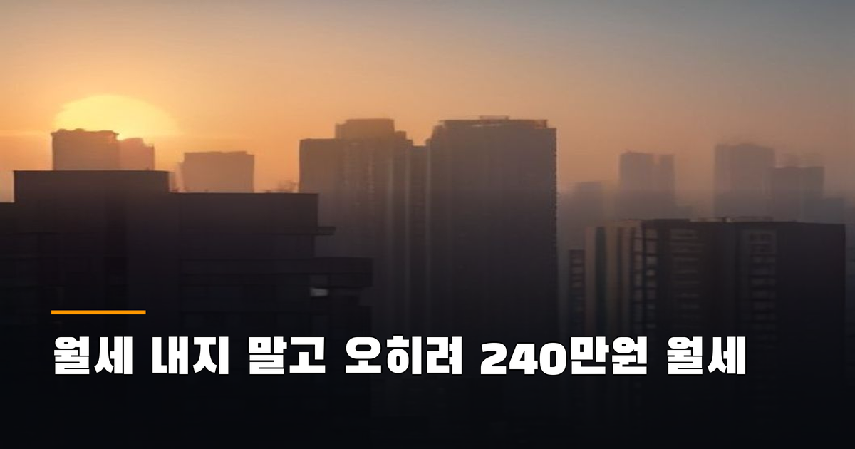 본문 이미지 1