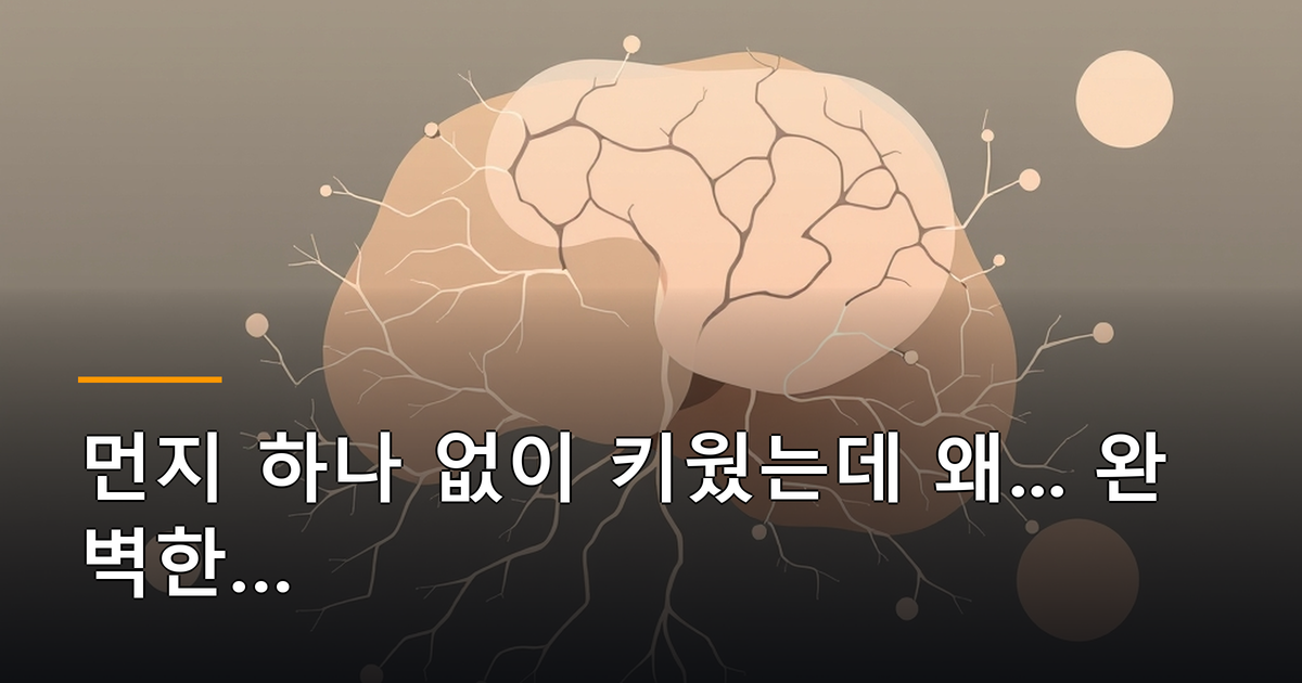 본문 이미지 1