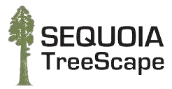 Sequoia TreeScape
