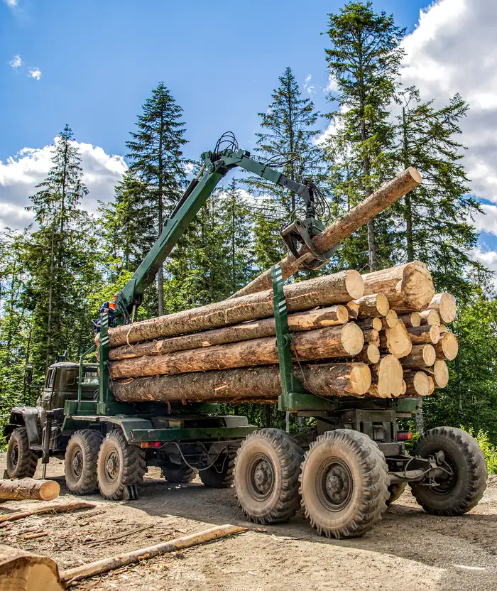 Forestry truck loading logs with a hydraulic crane