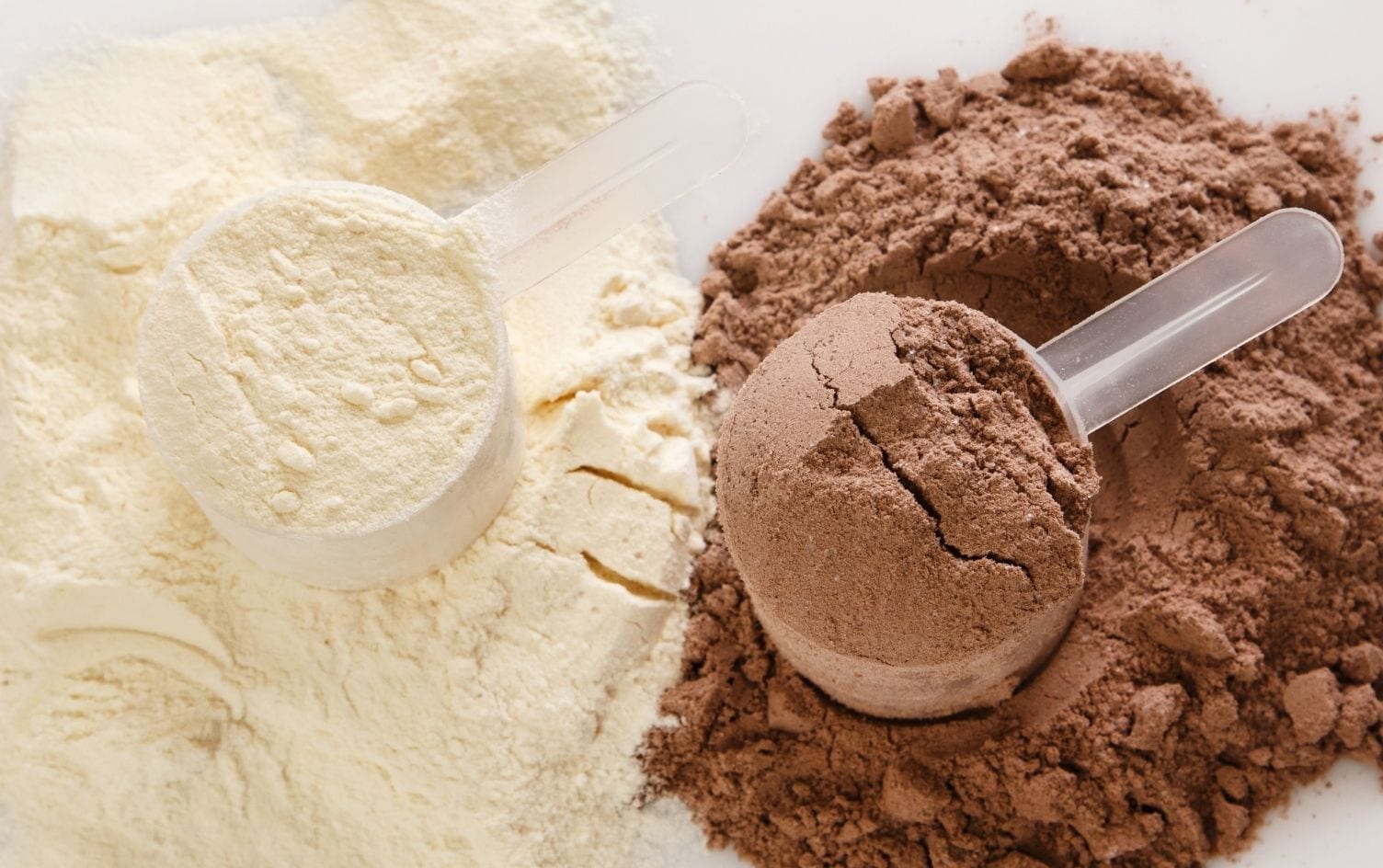 Illustrative scoops of dairy powders for the whey range