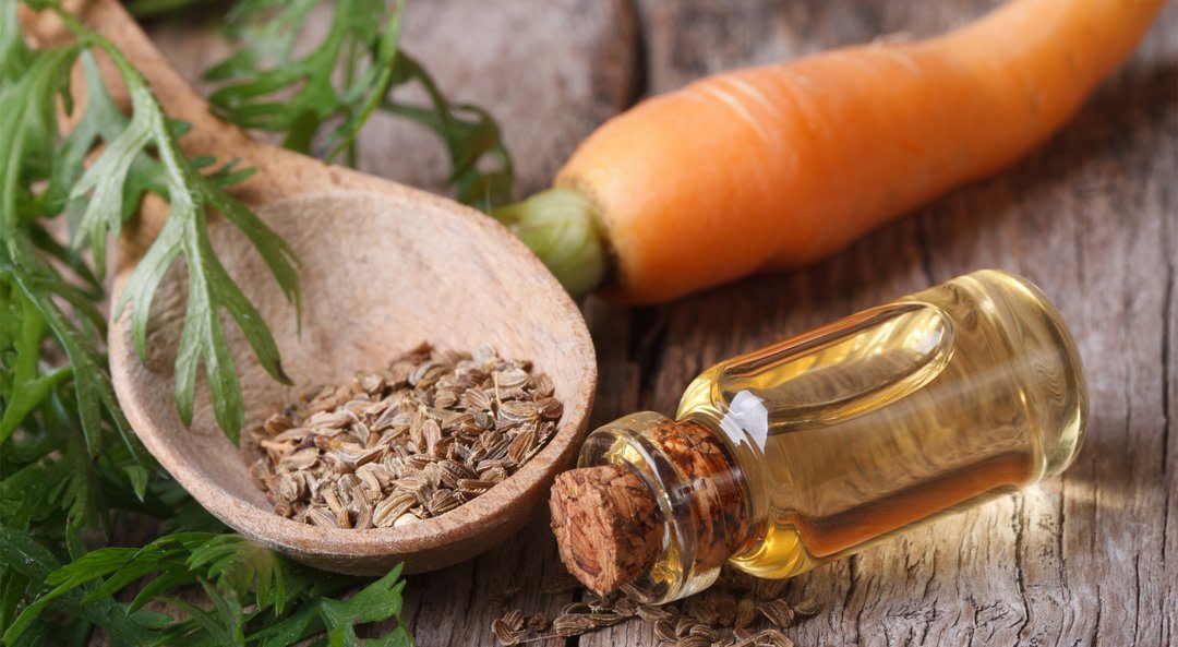 Carrot seed oil bottle beside carrot seeds and a carrot