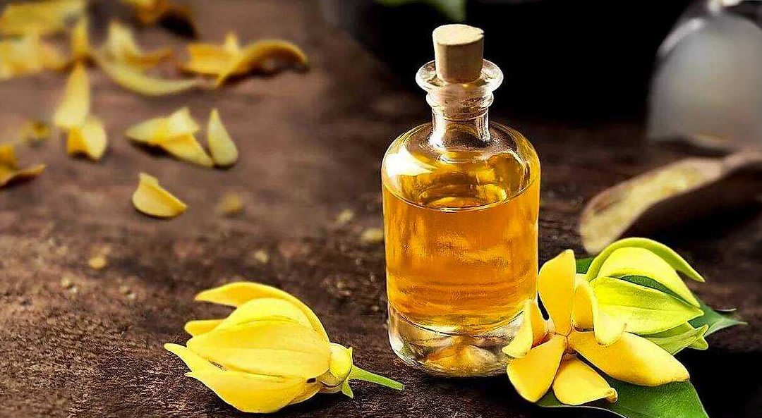 Ylang ylang oil bottle beside yellow ylang ylang flowers