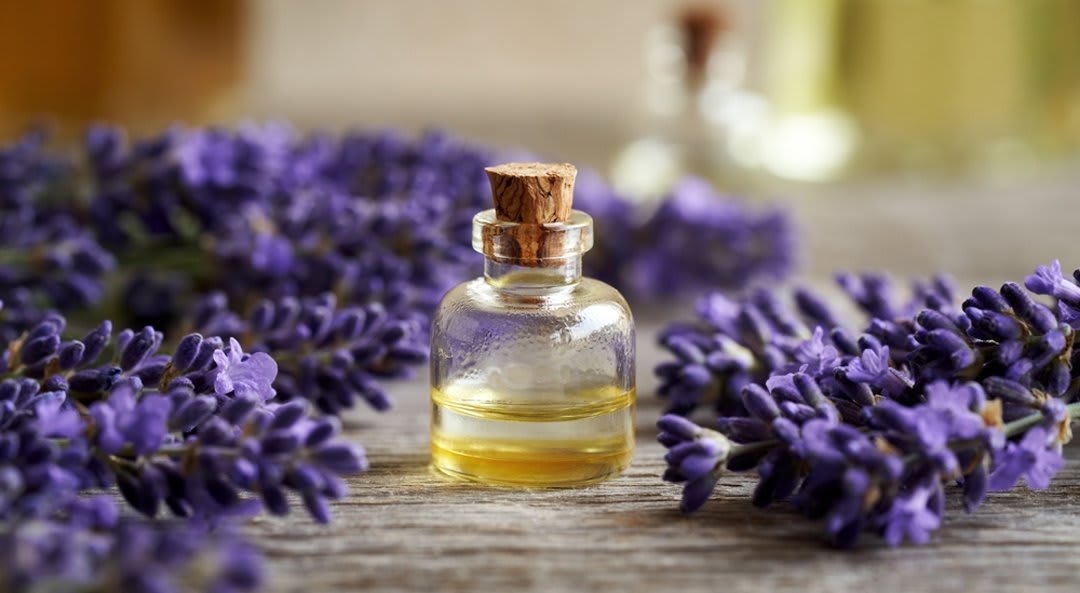 Lavender Oil in Cerium Chemicals packaging