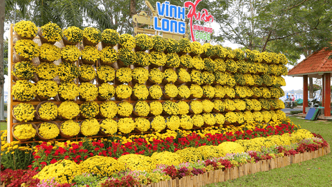 Tiểu cảnh Tường cúc phú quý