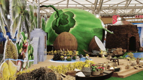 Mô hình quả dừa trình chiếu 3D Mapping