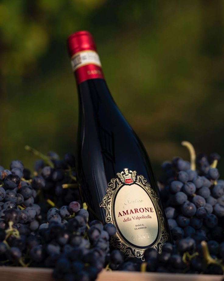 House sloe gin