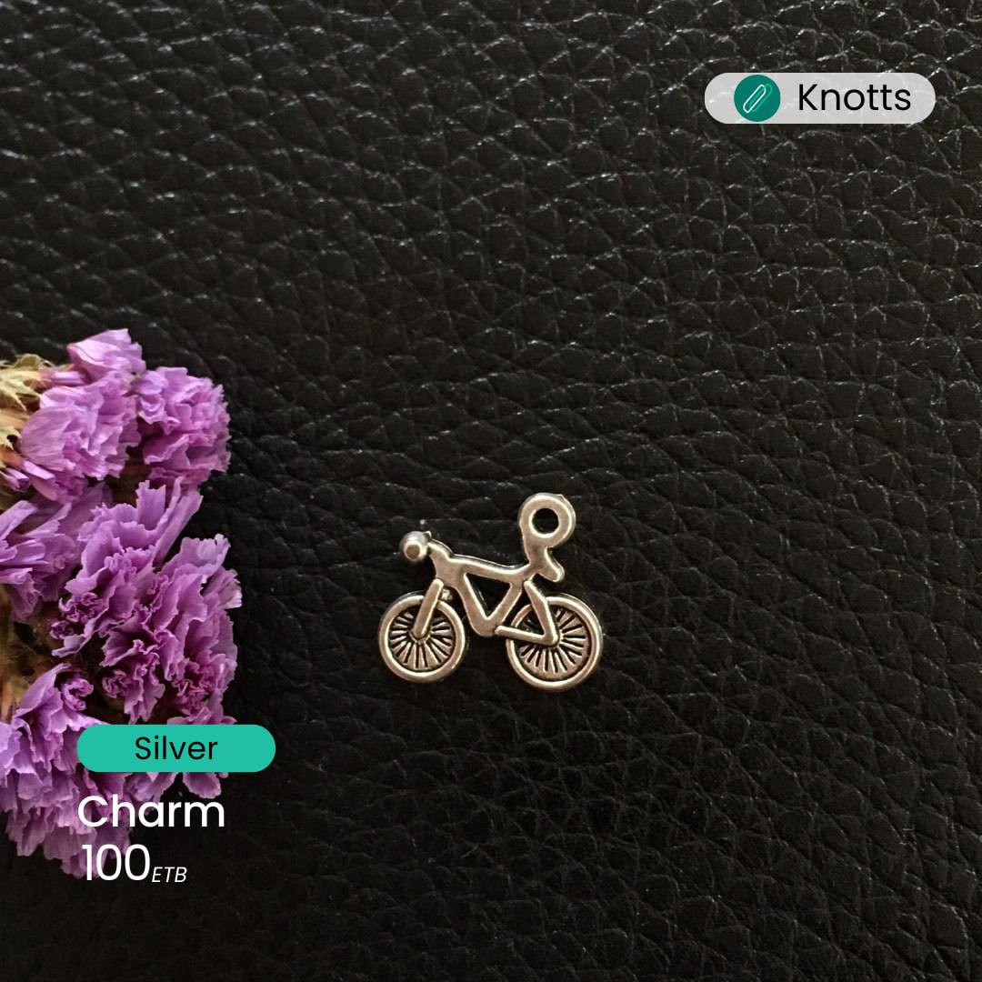 Silver Charms – view 3
