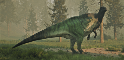Attachment thumbnail