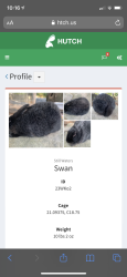 Attachment thumbnail