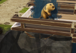 Attachment thumbnail