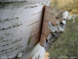 Attachment thumbnail