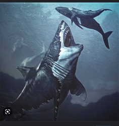 Attachment thumbnail