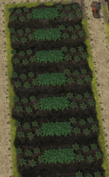 Attachment thumbnail