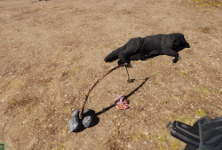 Attachment thumbnail