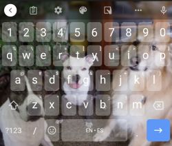 Attachment thumbnail