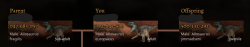 Attachment thumbnail