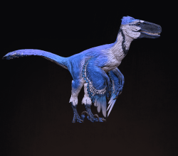 Attachment thumbnail