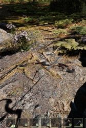 Attachment thumbnail