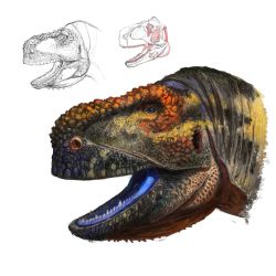 Attachment thumbnail