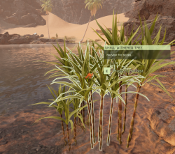 Attachment thumbnail
