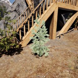 Attachment thumbnail