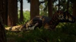 Attachment thumbnail