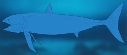 Attachment thumbnail