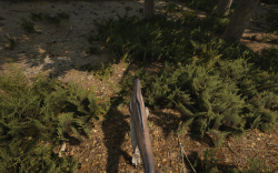 Attachment thumbnail