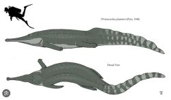 Attachment thumbnail