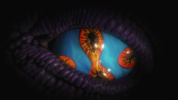 Attachment thumbnail