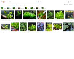 Attachment thumbnail