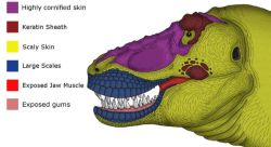 Attachment thumbnail