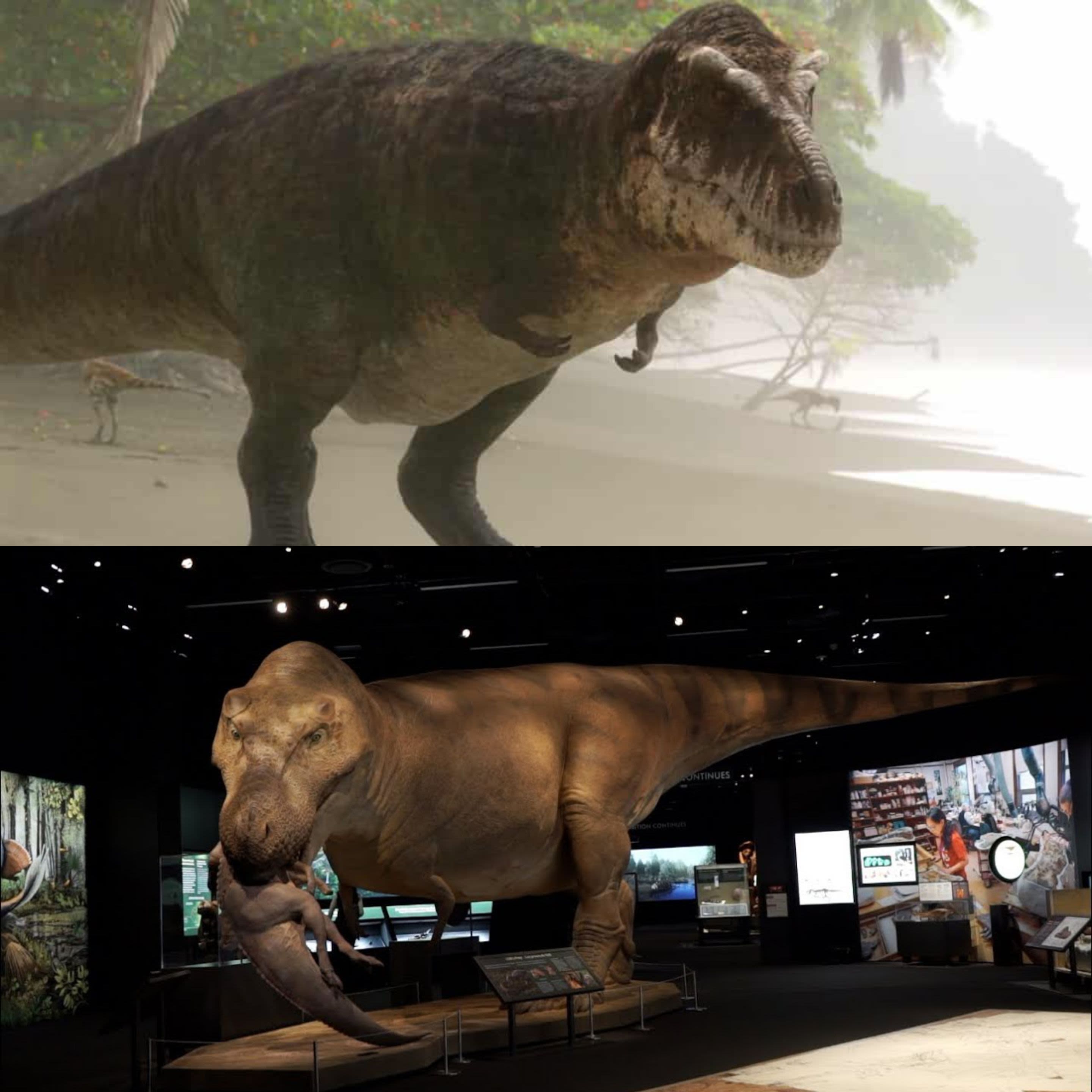 T rex redesign/remodel and rework Path of Titans