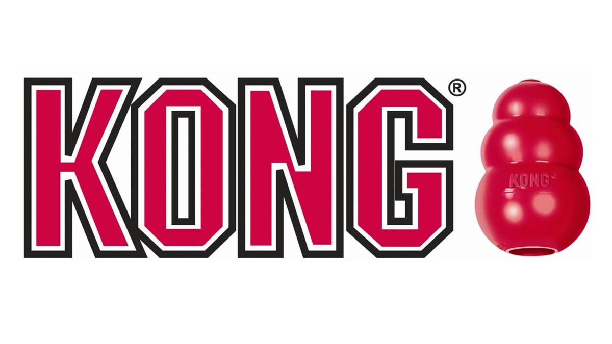 Kong Company