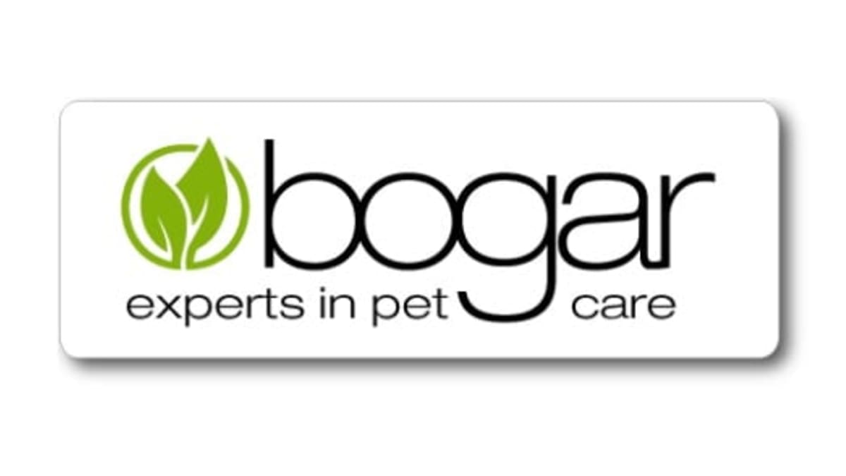 Bogar