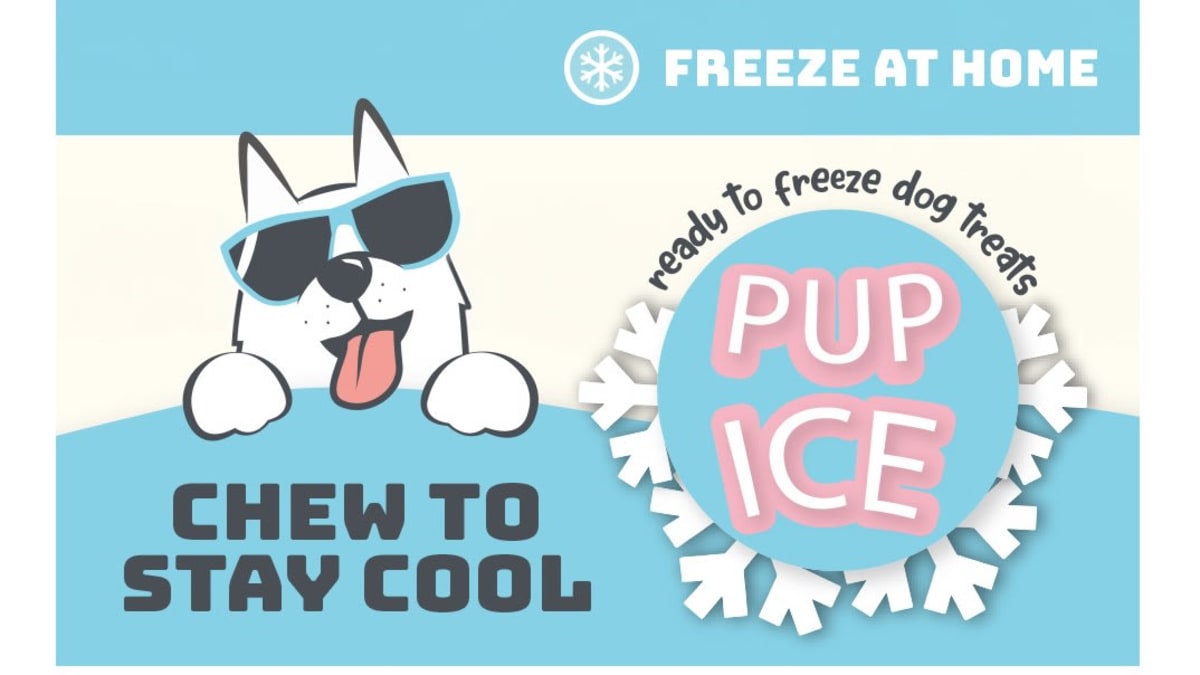 PUP ICE