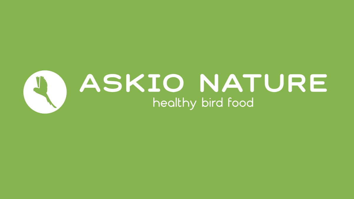 Askio