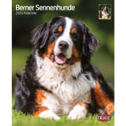 Kalender Berner Sennenhund 12549