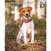 Kalender Jack Russel & Parson Terrier 12566