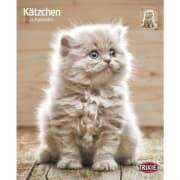 Kalender Kattunger 12591